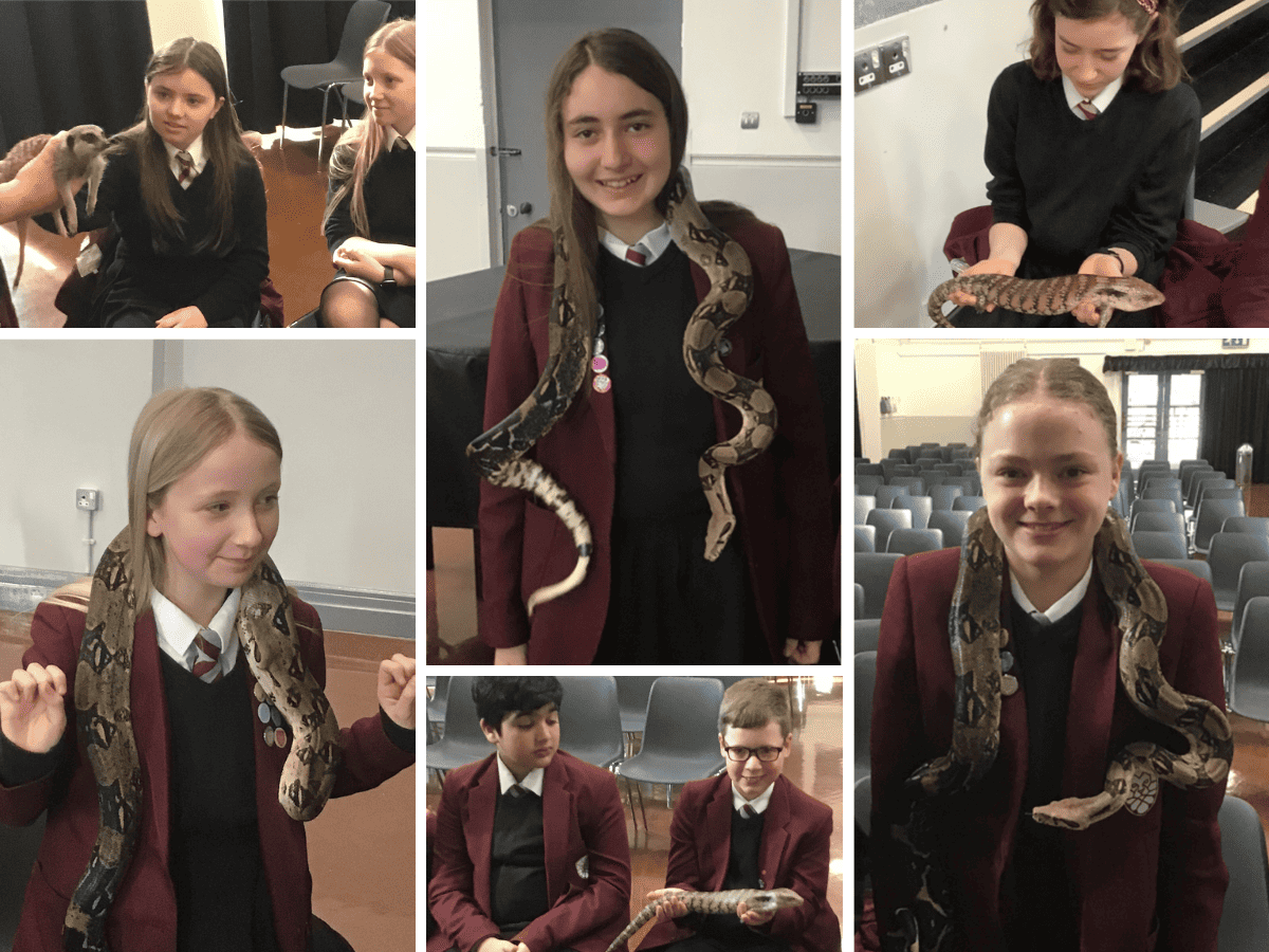 Hazel Grove High School students hold various animals from Oreo and friends.