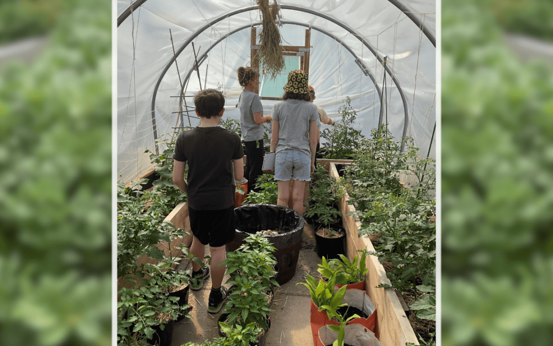 Hazel Grove High School Eco Council explore a polytunnel at The Landing